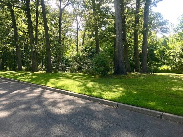 490 Highview Road Englewood, NJ 07631 - Photo 12 of 15 a view of a yard with a trees