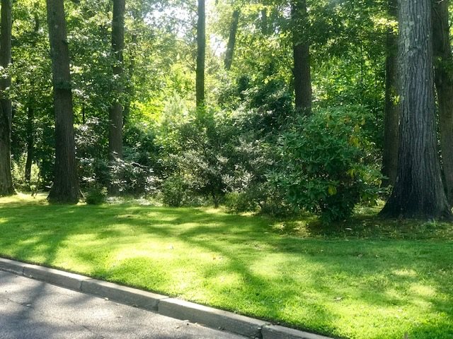 490 Highview Road Englewood, NJ 07631 - Photo 13 of 15 a yard with trees in the background