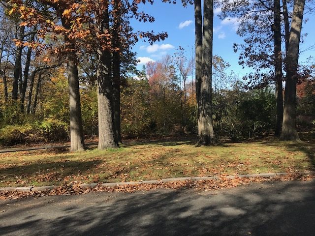 490 Highview Road Englewood, NJ 07631 - Photo 15 of 15 a view of a yard with trees
