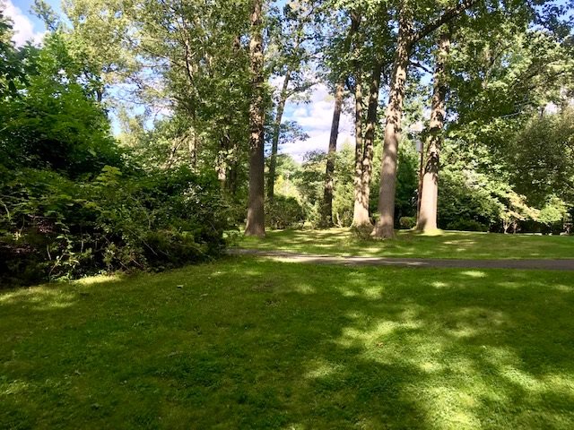 490 Highview Road Englewood, NJ 07631 - Photo 3 of 15 a view of outdoor space with trees