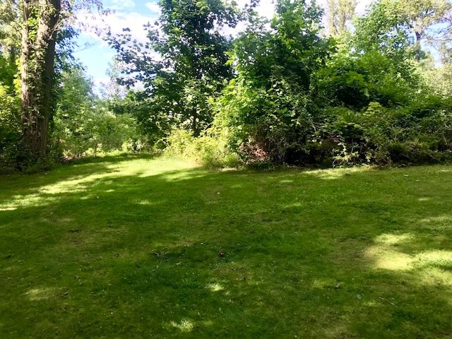 490 Highview Road Englewood, NJ 07631 - Photo 4 of 15 a backyard of a house with lots of green space