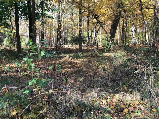 490 Highview Road Englewood, NJ 07631 - Photo 5 of 15 a view of outdoor space with trees