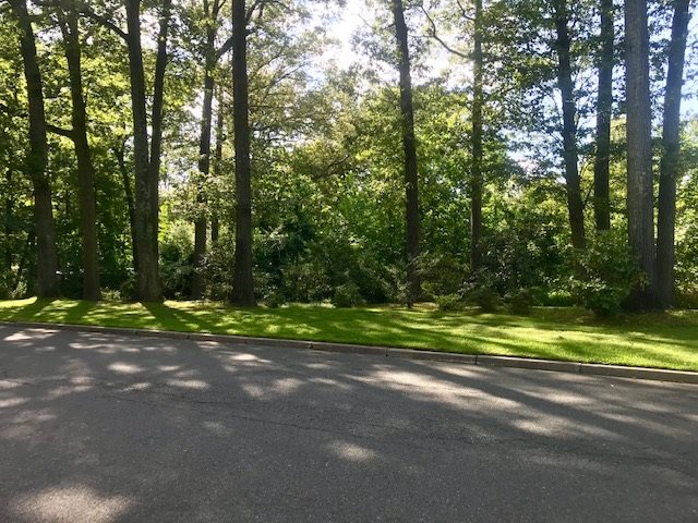 490 Highview Road Englewood, NJ 07631 - Photo 7 of 15 a view of a road with a trees