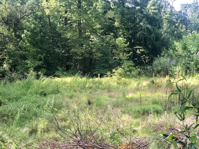 490 Highview Road Englewood, NJ 07631 - Photo 8 of 15 a view of a lush green space