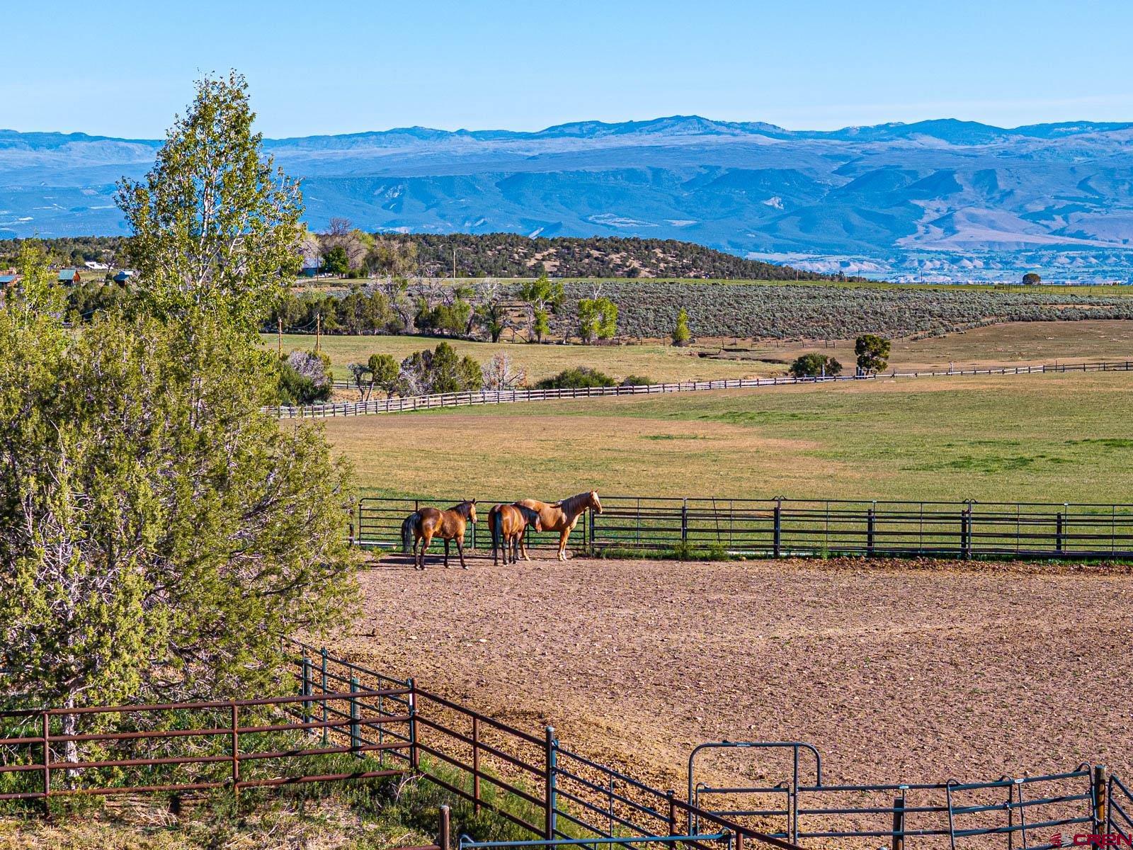 2741 7750th Road Crawford, CO 81415 - Photo 45 of 45