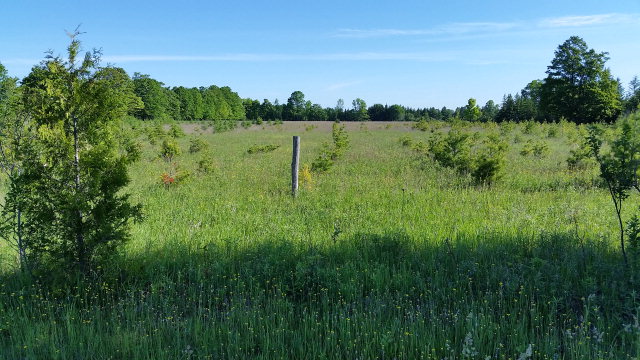 Lot #2 Grove Road Baileys Harbor, WI 54202 - Photo 1 of 1