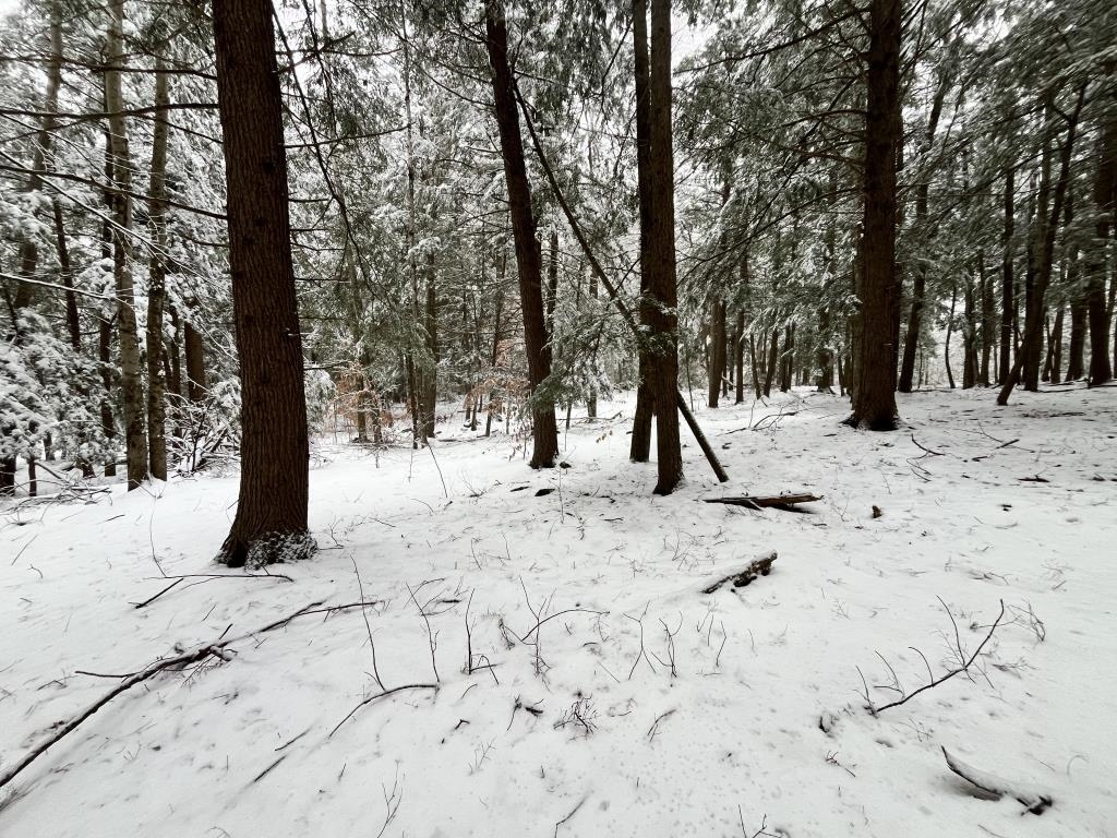 199 Bryant Road Jaffrey, NH 03452 - Photo 10 of 13