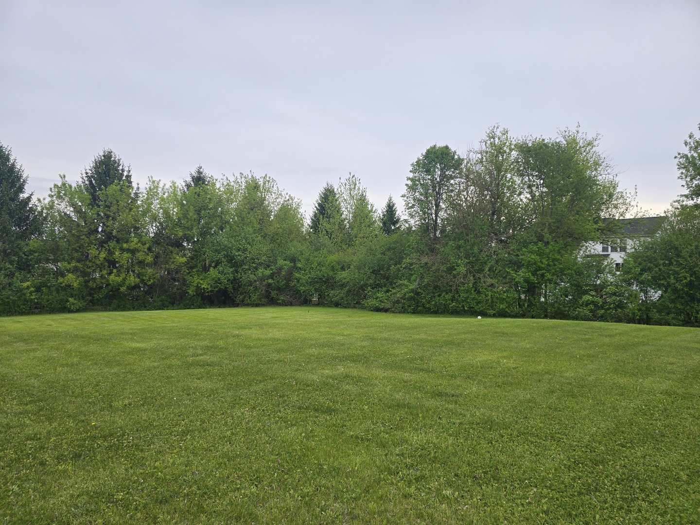 7 Springbrook Lane Algonquin, IL 60102 - Photo 3 of 4