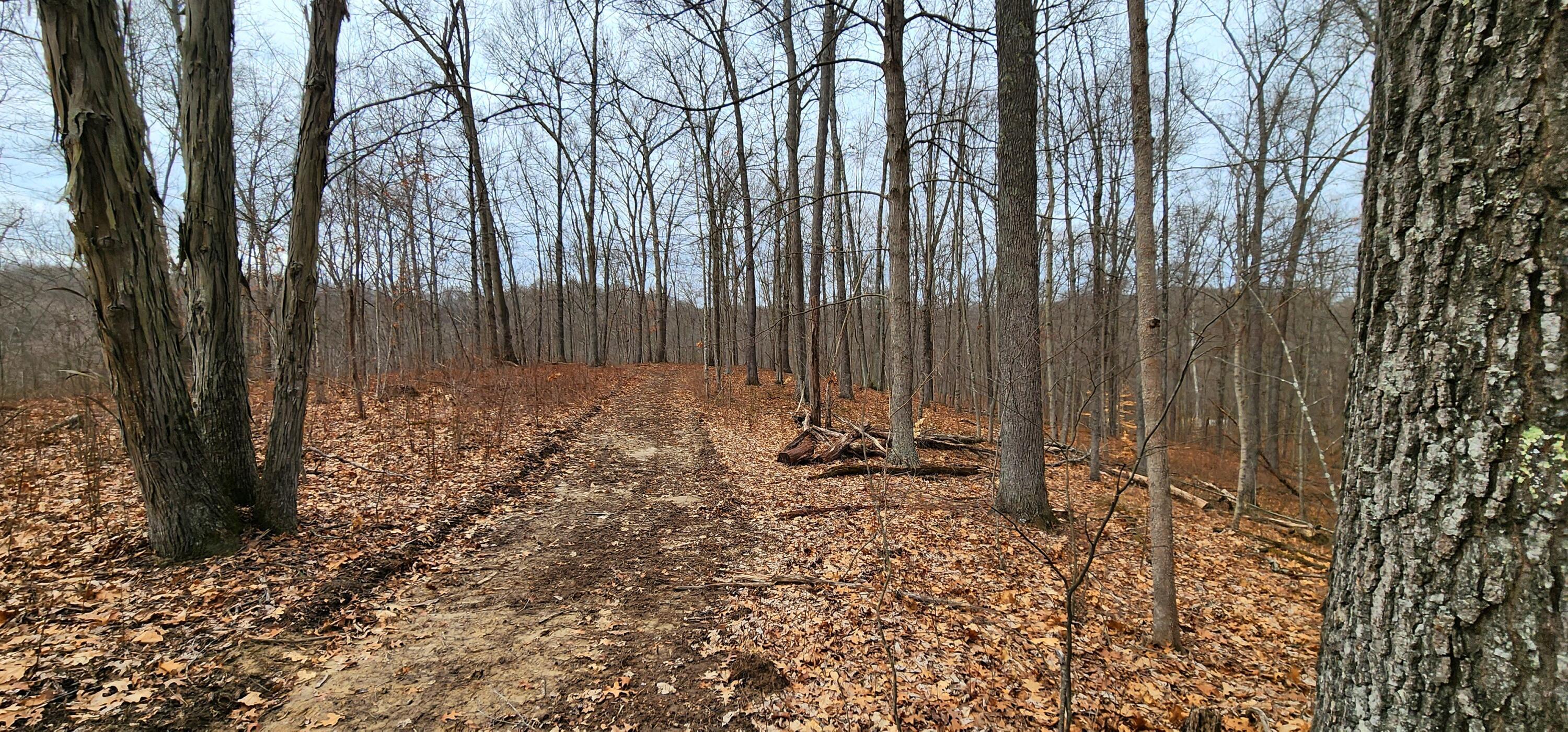 0 Edmundson Road, Unit TRACT 4 AT BIG TIMBER) Vinton, OH 45686 - Photo 7 of 67 8