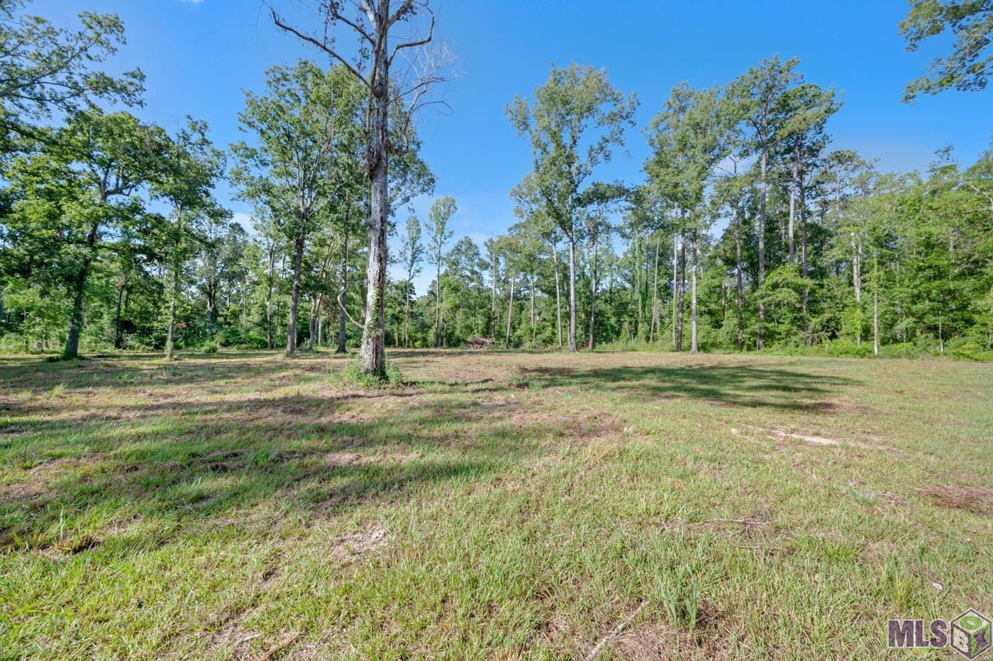 W6 Bob Ball Road Springfield, LA 70462 - Photo 6 of 6 Gallery Image 6