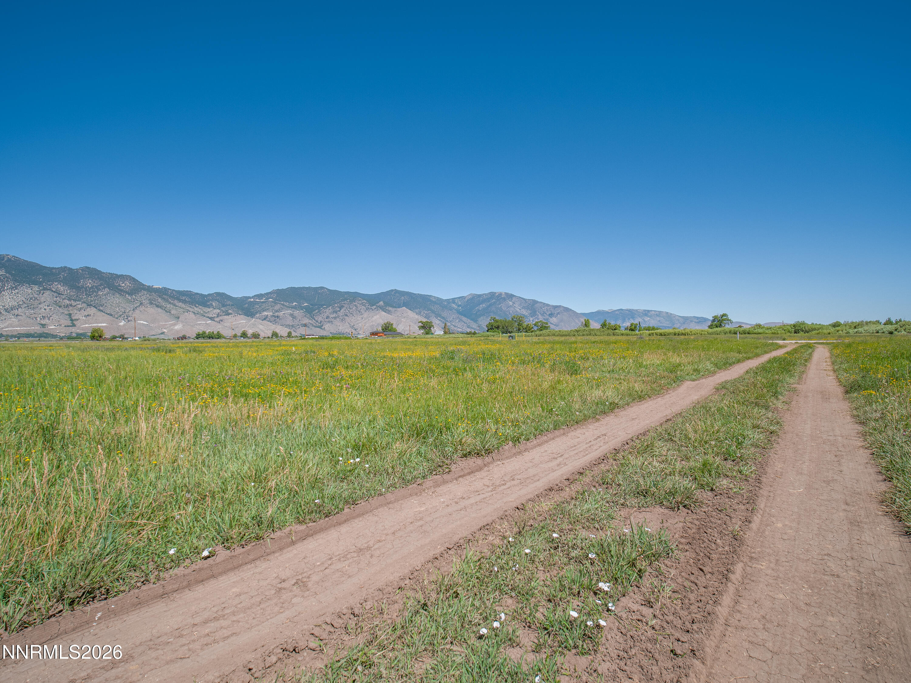 1225 Highway 88 Gardnerville, NV 89460 - Photo 16 of 25 Photo-10