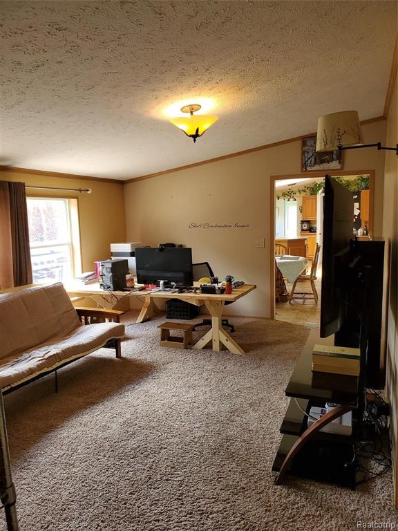 3880 Curtis Road Birch Run, MI 48415 - Photo 22 of 37