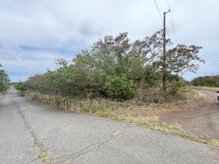 12 Mark Twain Street Naalehu, HI 96772 - Photo 1 of 7 a view of a dry forest with trees in the background