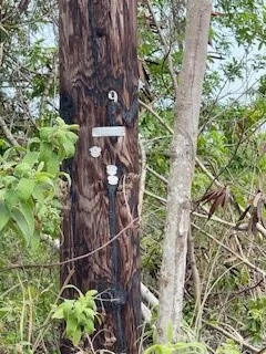 a backyard of a house