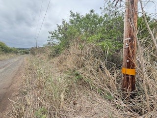 12 Mark Twain Street Naalehu, HI 96772 - Photo 5 of 7 a backyard of a house with table and chairs