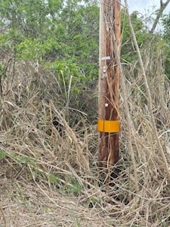 12 Mark Twain Street Naalehu, HI 96772 - Photo 6 of 7 a aerial view of a house with a yard and sitting area