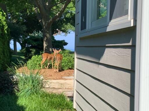 2401 Old Lakeshore Road St. Joseph, MI 49085 - Photo 58 of 63 IMG_2389