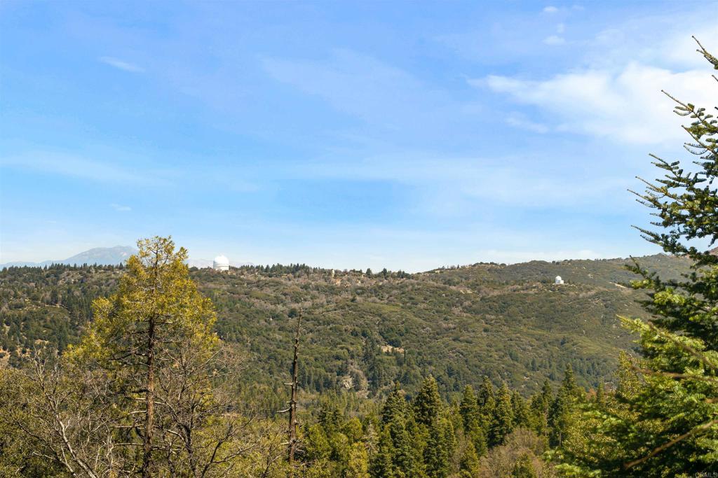 33480 Bailey Meadow Road Palomar Mountain, CA 92060 - Photo 15 of 51 a view of a mountain
