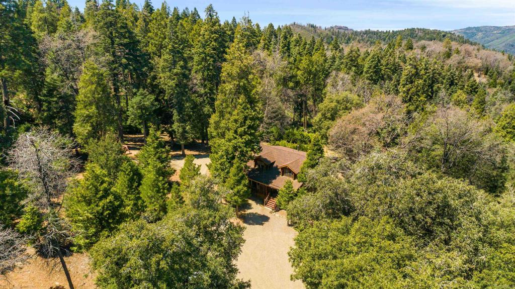 33480 Bailey Meadow Road Palomar Mountain, CA 92060 - Photo 2 of 51 a view of a forest with a tree