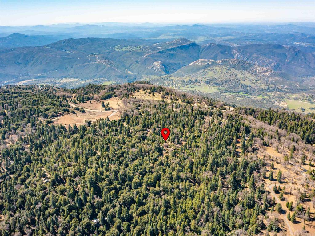 33480 Bailey Meadow Road Palomar Mountain, CA 92060 - Photo 3 of 51 a view of a yard with an outdoor space