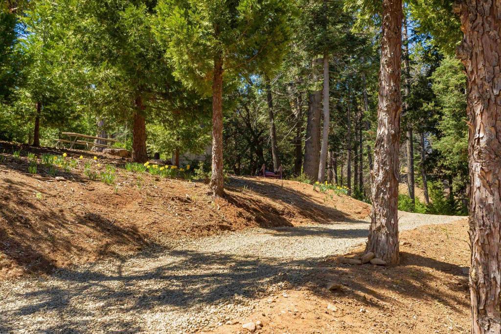 33480 Bailey Meadow Road Palomar Mountain, CA 92060 - Photo 40 of 51 a view of a yard with large trees