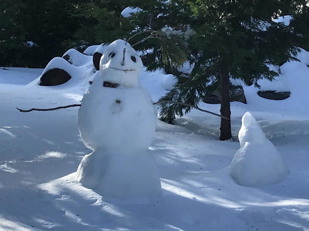 33480 Bailey Meadow Road Palomar Mountain, CA 92060 - Photo 47 of 51 a vase of flowers sitting on a table