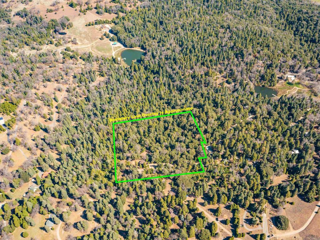 33480 Bailey Meadow Road Palomar Mountain, CA 92060 - Photo 51 of 51 a close up of a plant