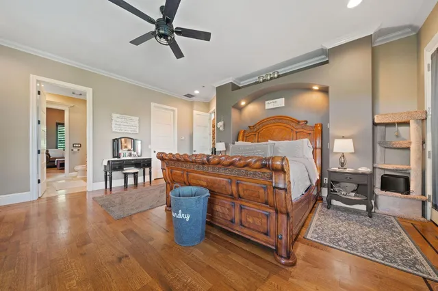 a view of a yard with plants and large trees