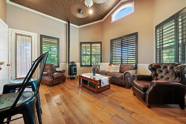 a view of a yard with plants and large trees