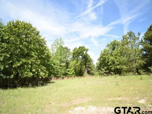 $154,000 | Lot 33 Acr 453, Montalba, TX 75853