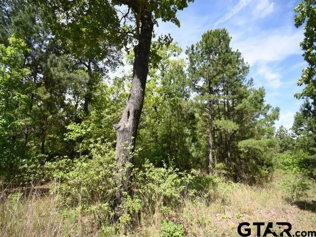 $154,000 | Lot 33 Acr 453, Montalba, TX 75853