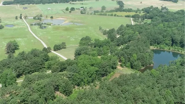 $154,000 | Lot 33 Acr 453, Montalba, TX 75853