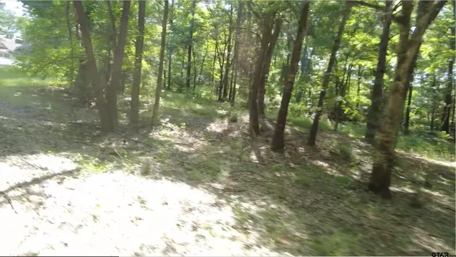 $154,000 | Lot 33 Acr 453, Montalba, TX 75853