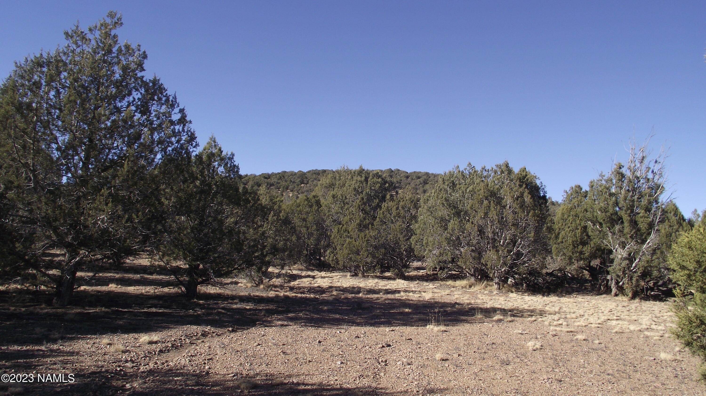 84 Slurry Pipeline Road, Unit 84 Williams, AZ 86046 - Photo 4 of 14 DSCF6768