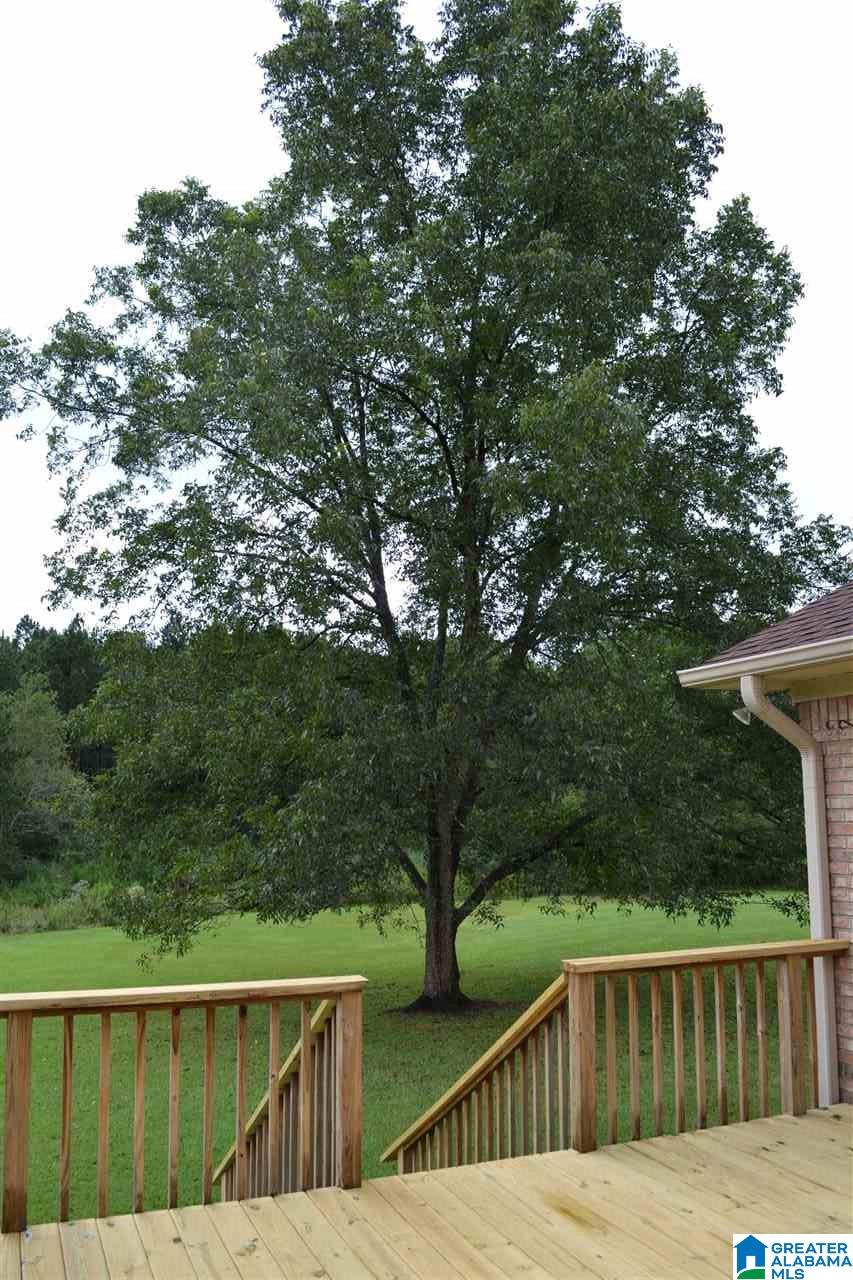 719 Williams Road Jasper, AL 35503 - Photo 40 of 50