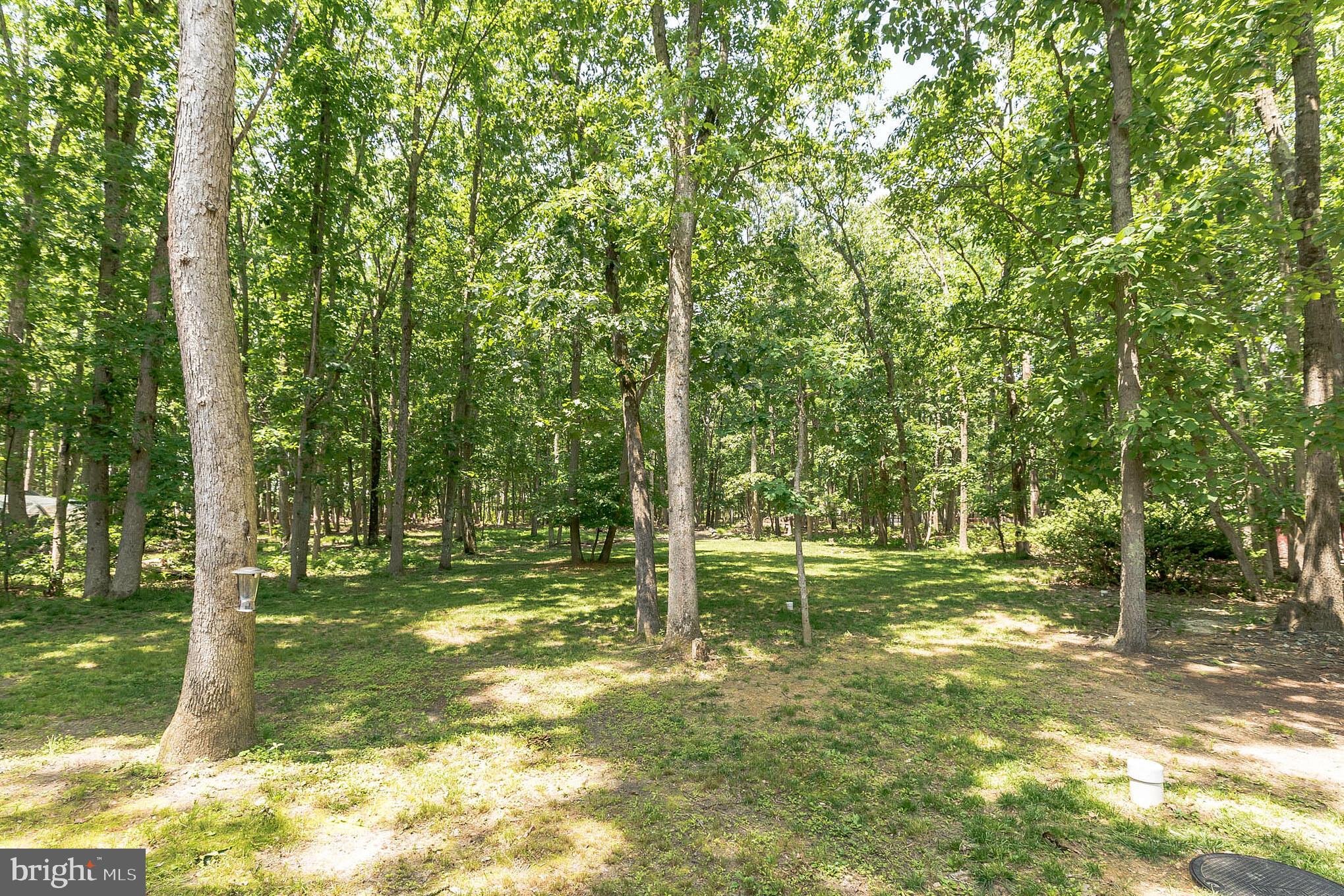 221 Oakshade Road Tabernacle, NJ 08088 - Photo 29 of 30 Walk through here to Prickets Mill Park!