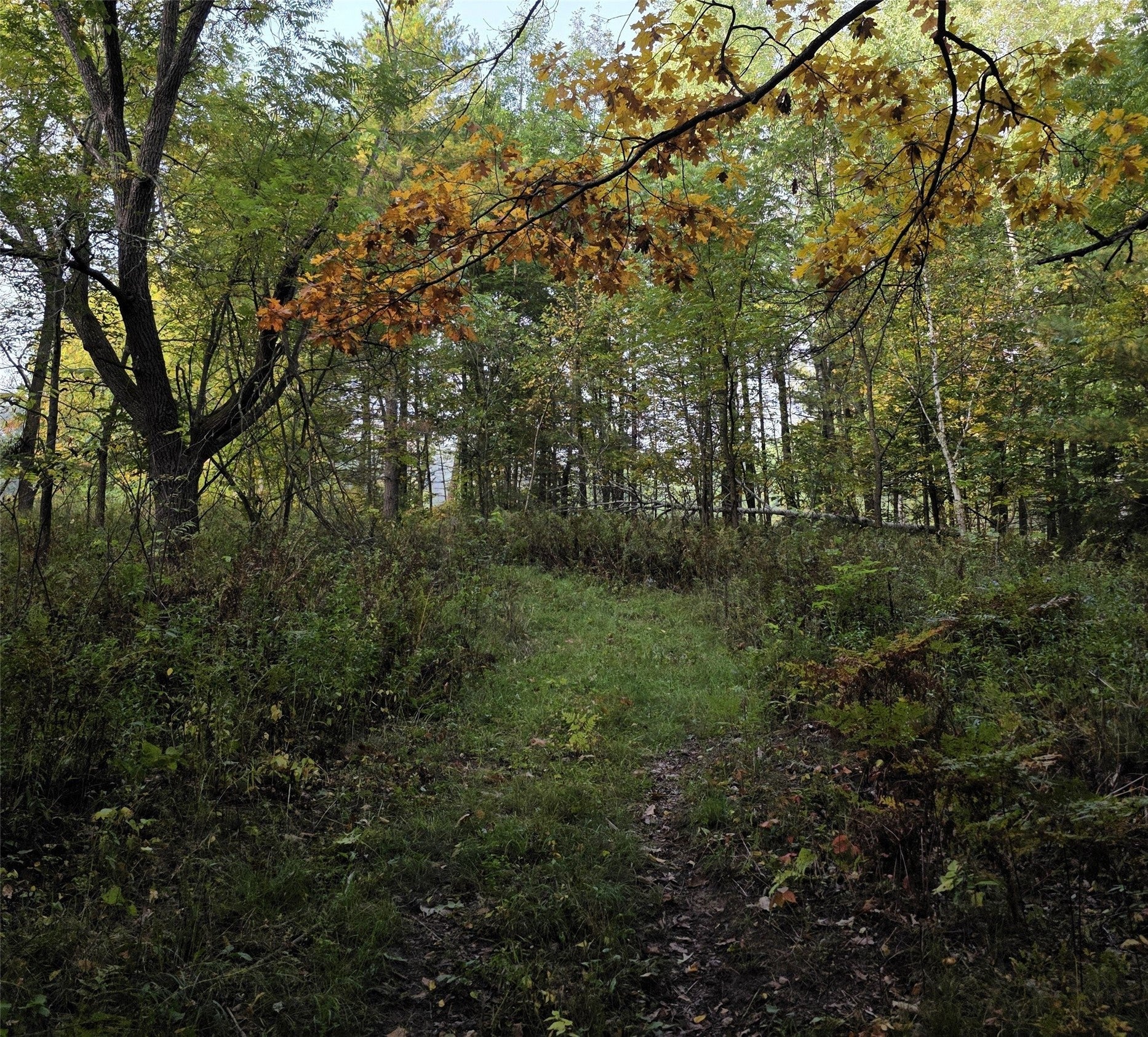 3368 North Sawdust Road Bruce, WI 54819 - Photo 28 of 60 Gallery Image 28