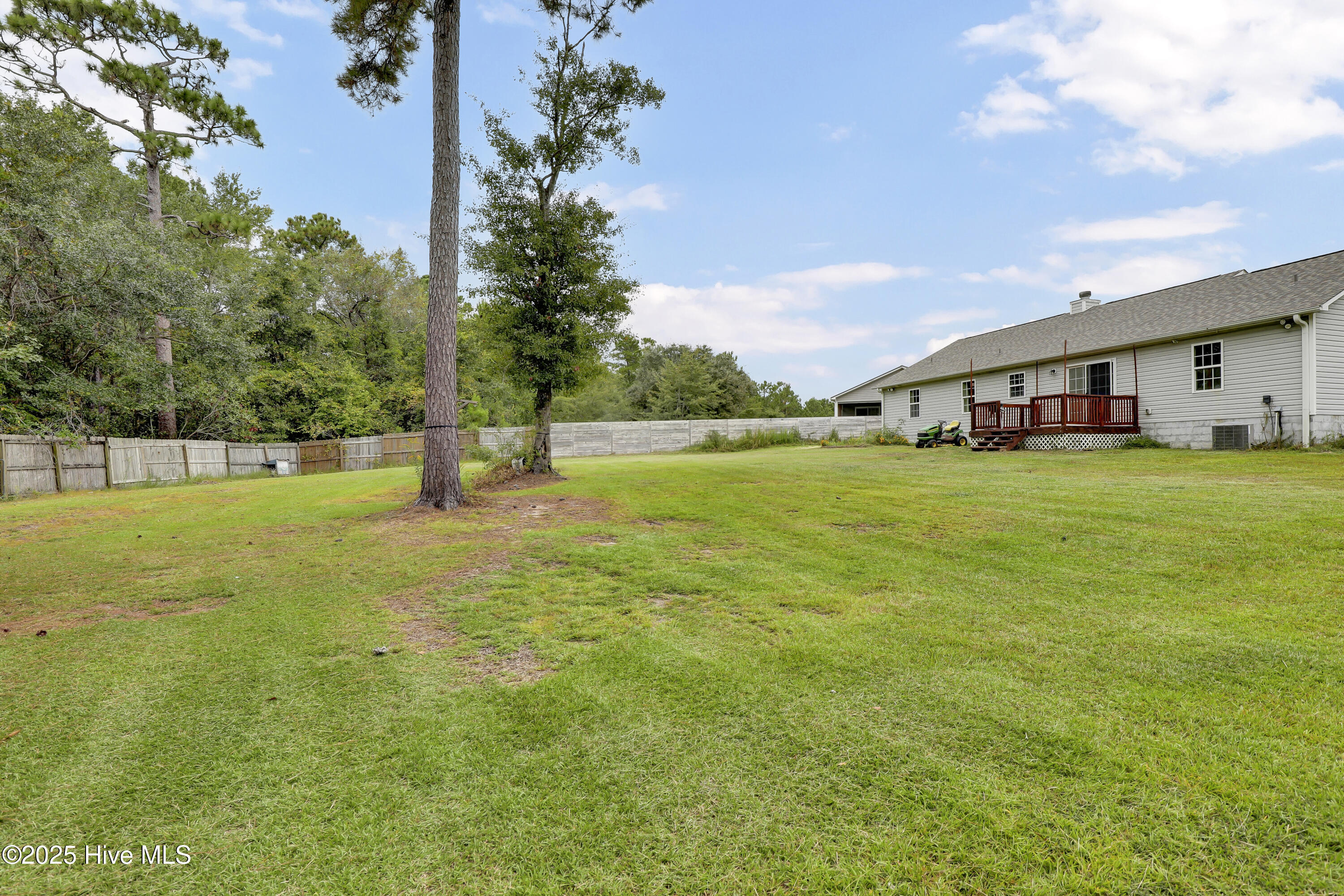 117 Jenna Rea Road Hubert, NC 28539 - Photo 25 of 37 Backyard