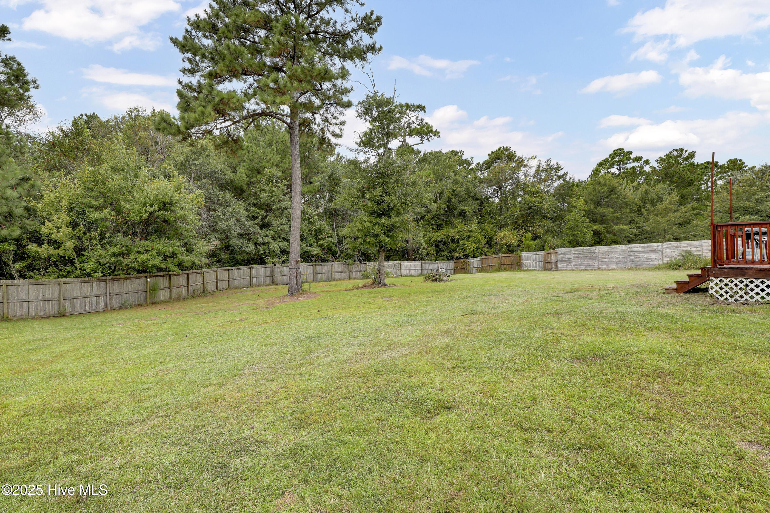 117 Jenna Rea Road Hubert, NC 28539 - Photo 26 of 37 Backyard