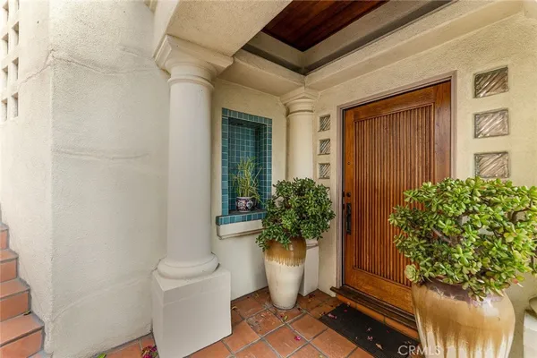 a potted plant sitting in front of a door