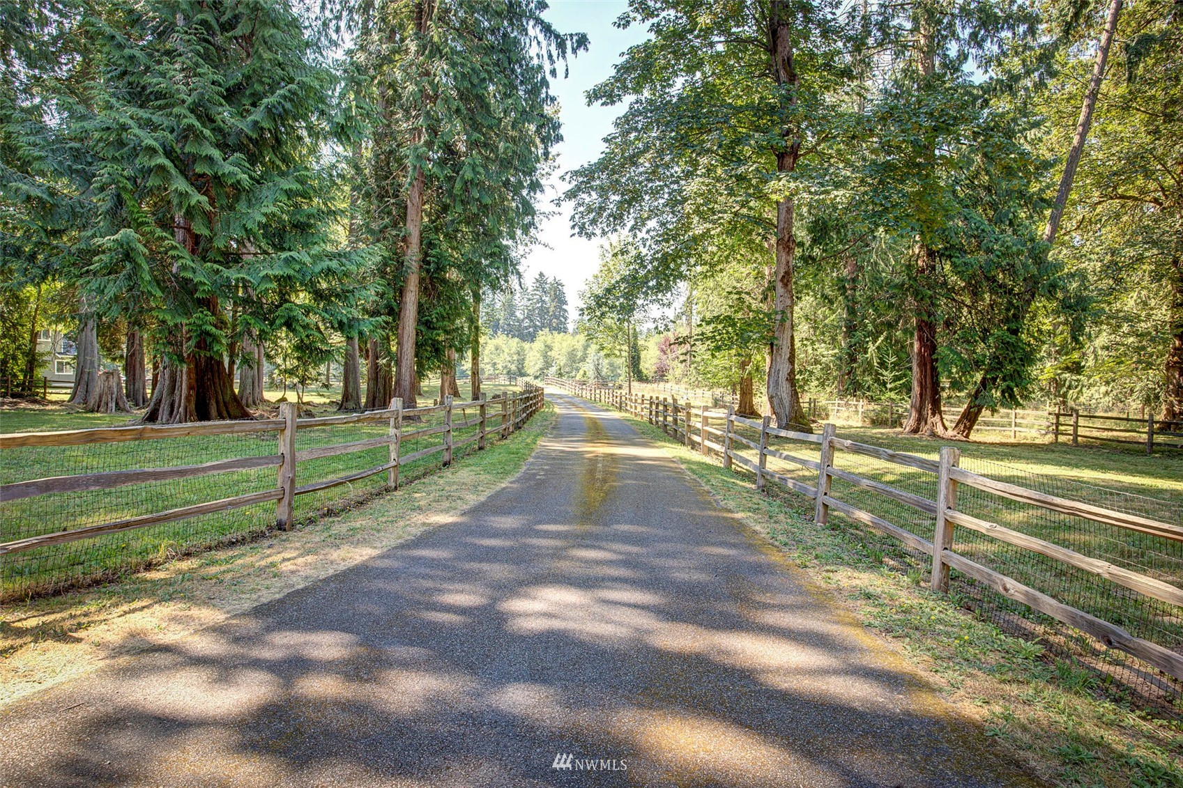 12115 Gould Road Graham, WA 98338 - Photo 36 of 37 a view of a yard with large trees