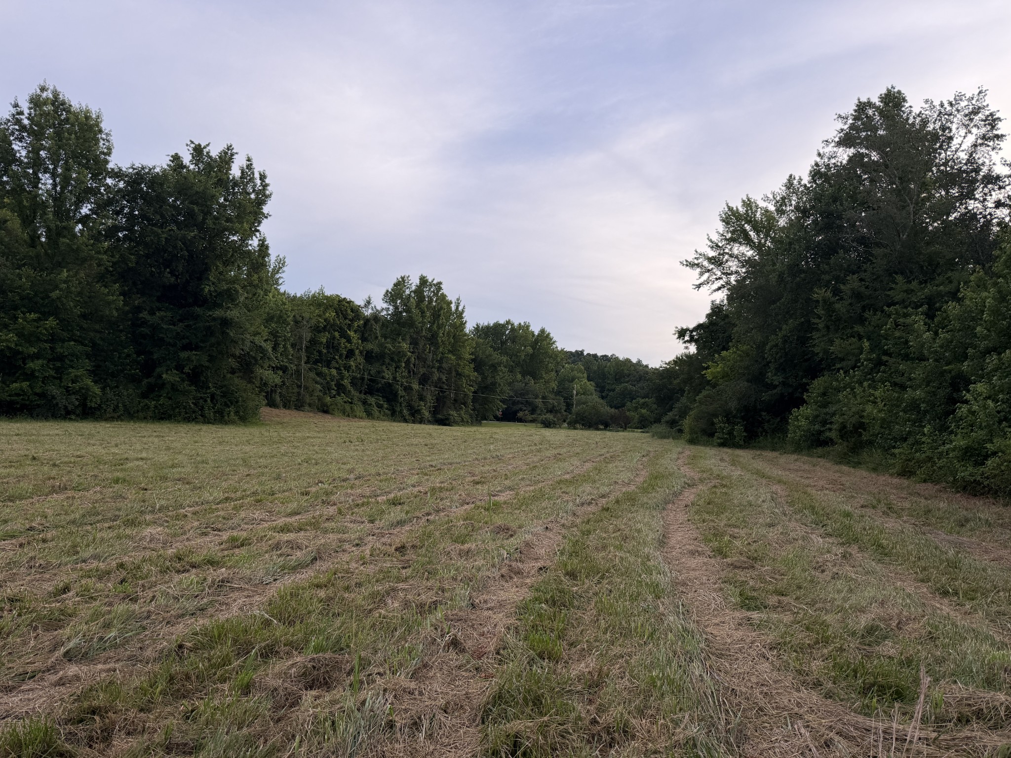 0 Dry Branch Road Holladay, TN 38341 - Photo 6 of 17