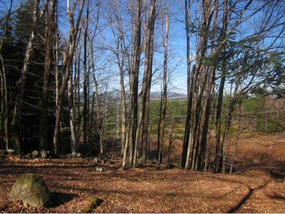 116 Cass Mill Road Hill, NH 03243 - Photo 27 of 28