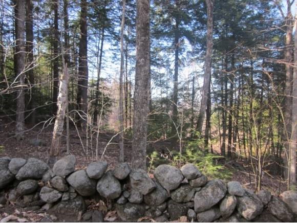116 Cass Mill Road Hill, NH 03243 - Photo 28 of 28