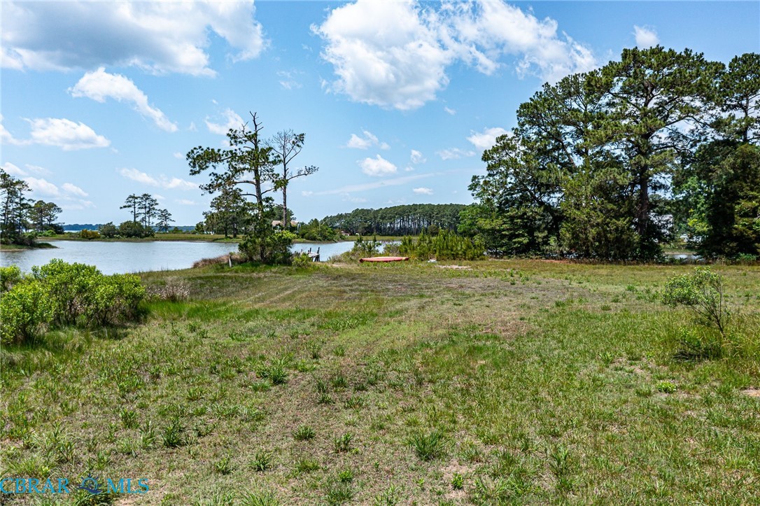1439 North River Road Foster, VA 23056 - Photo 19 of 30