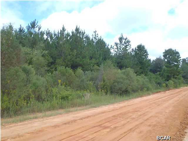 Tbd Roland Road Chipley, FL 32428 - Photo 1 of 4