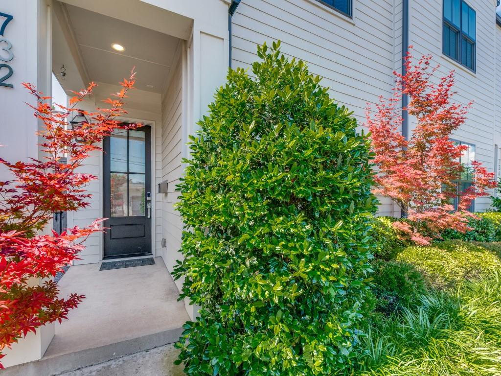 732 West 7th Street Dallas, TX 75208 - Photo 3 of 25 Exterior entrance featuring a black paneled door with window panes, white horizontal siding, a recessed entryway light, and landscaped plantings with red-leafed trees