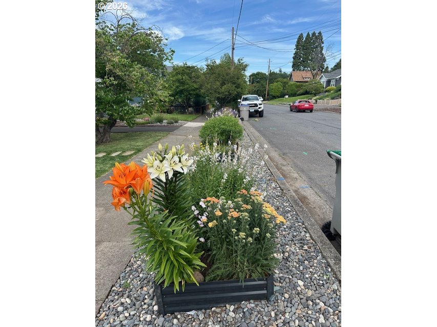 1028 Cascade Avenue Hood River, OR 97031 - Photo 32 of 33 a picture of a yard with plants