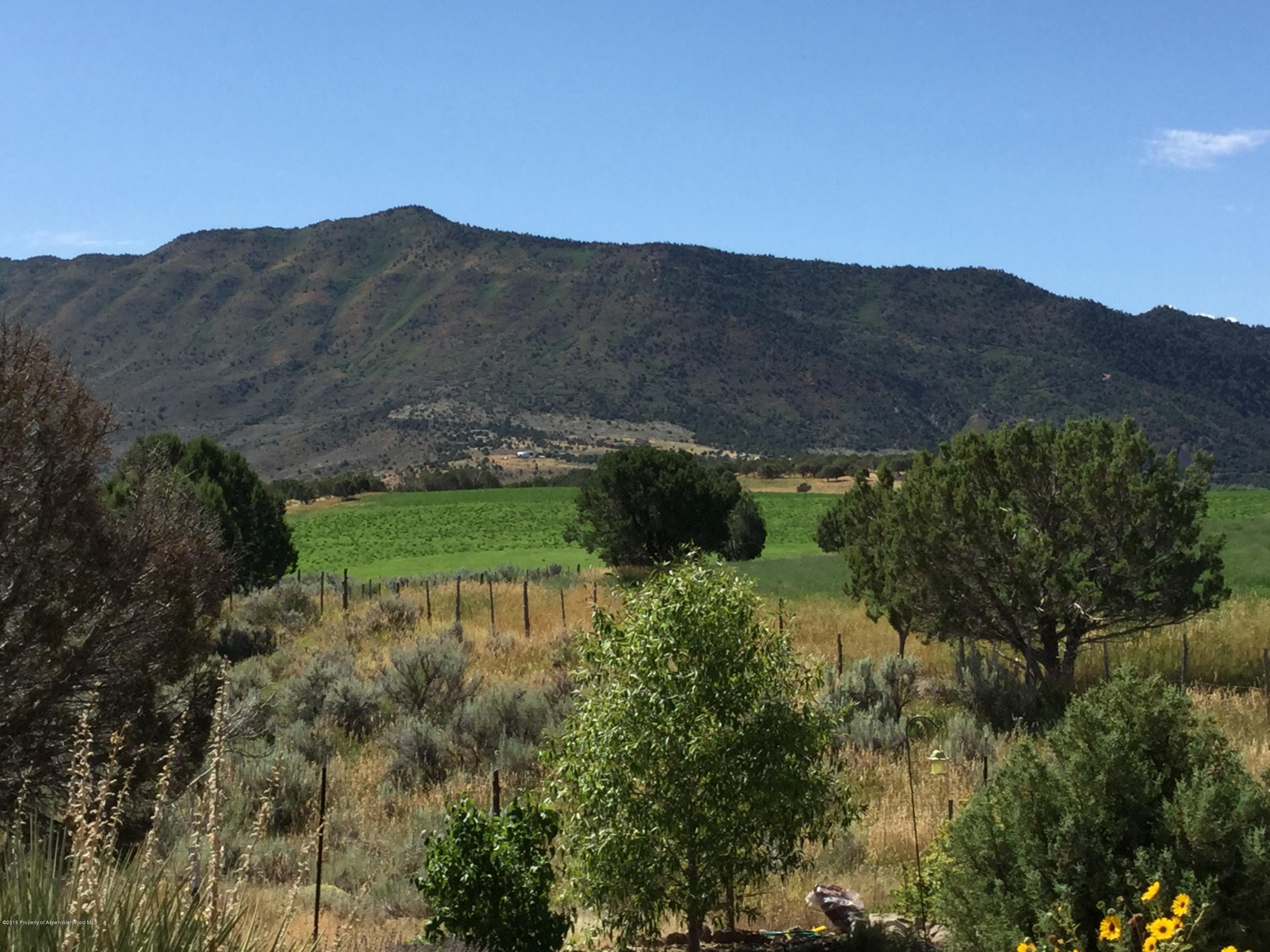 4112 County Road 226 Rifle, CO 81650 - Photo 3 of 34 a view of a lush green hillside and a building