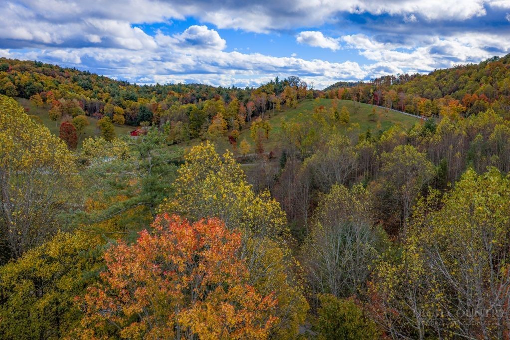 374 Lawrence Greene Road Deep Gap, NC 28618 - Photo 5 of 19 Gallery Image 5
